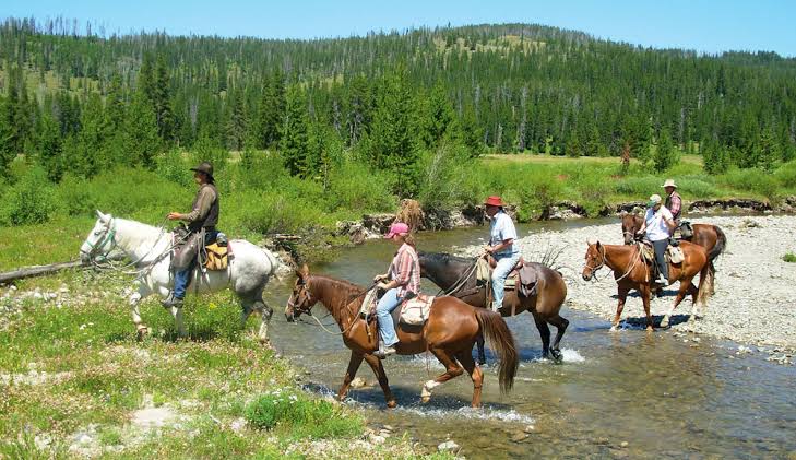 Horseback Riding Tetons